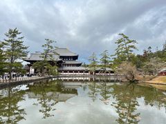 -奈良公园