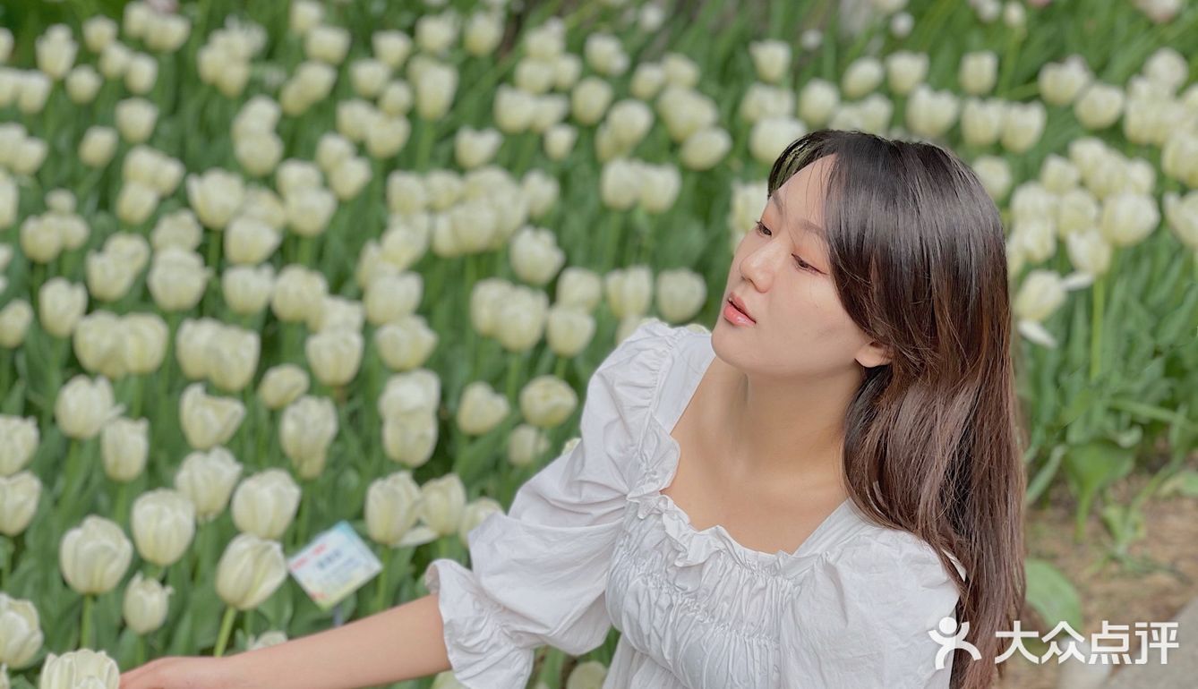 又到了一年一度和郁金香拍照的季节啦🌷