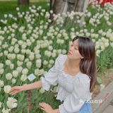 又到了一年一度和郁金香拍照的季节啦🌷