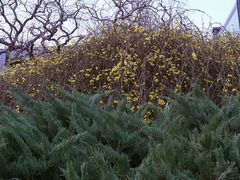 景点-元大都城垣遗址公园