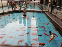 -陕西自然博物馆