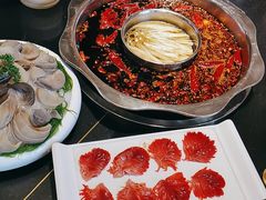 -一斗火锅·招财羊毛肚(北温泉九号店)