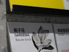 -Dip in Gelato(富民路店)
