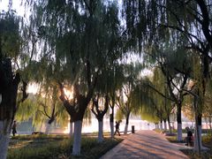 -天鹅湖体育公园