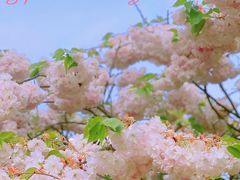 -燕儿岛山公园