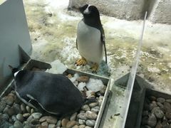 -大连圣亚海洋世界