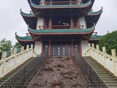 -桂湖森林公园