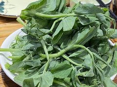 -菌之家·专业纯野生菌火锅·特色炒菌