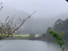 -广州市石门国家森林公园