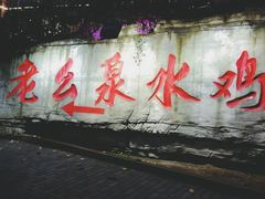 -老幺泉水鸡