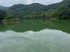 -广州白江湖森林公园