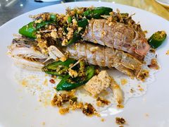 -澳门环岛游湾仔码头