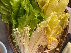 -麻小度青花椒鱼蛙火锅