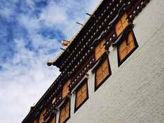 -藏味八珍特色火锅