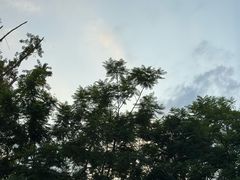 -龙潭水乡