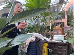 -禧宴Joyous Restaurant(禧园店)