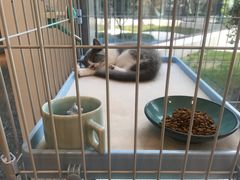 -猫的天空之城概念书店(北戴河蔚蓝海岸店)