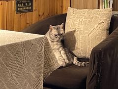 -隅cafe(傅厚岗店)