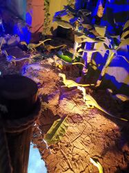 -恐龙探索乐园(磁器口店)