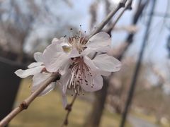 -碑林公园