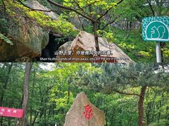 -鲁山国家森林公园