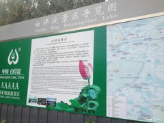 -白洋淀景区