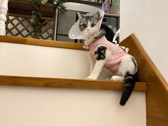 -达爱动物医院·犬猫分区·CT·复杂眼科(远洋山水分院)