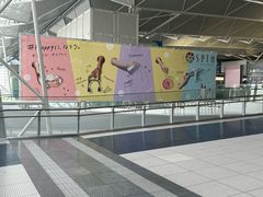 -中部国际机场