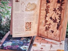 -二酉书店TOYOU BOOKS