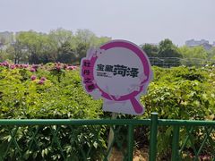 -曹州牡丹园