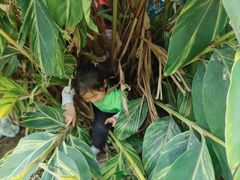 -宾果蒙特梭利托育儿童之家幼儿园(爱琴海店)