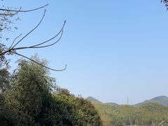 -宁波浙东大竹海景区