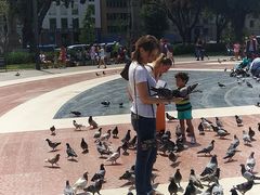 -加泰罗尼亚广场