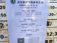 -西双版纳原始森林公园