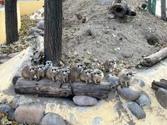 -北京野生动物园