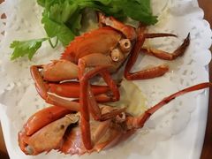 -友强·23年特色海鲜大排档(厦门店)
