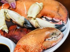 -强记龙虾钳(定安里店)