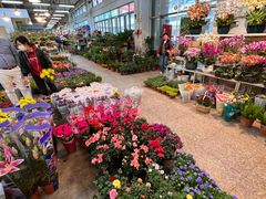 -双季花艺园艺市场(浦东店)