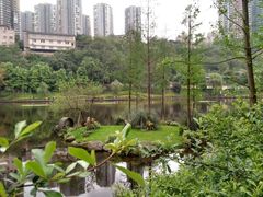 -重庆彩云湖湿地公园