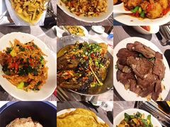 鸭掌筋-壹盏灯(惠农店)