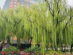 -大明幻境第一城