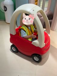 -meland club亲子乐园(重庆万象城店)