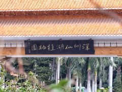 -深圳仙湖植物园