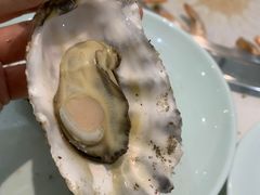 -绿岛港轩海鲜烤肉涮锅自助餐厅