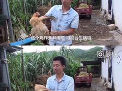 -ZEN采蝶轩·粤味臻鲜·手作点心·商务宴请(泰州店)