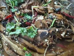 -庆岭迎宾园正宗活鱼馆