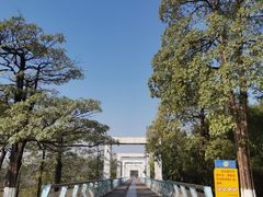 -东莞植物园