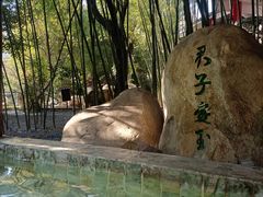 -观唐（国际）度假村温泉