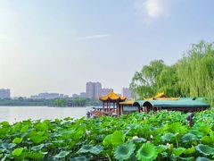 -济南大明湖景区