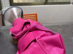 -荔康动物医院(康王北路店)